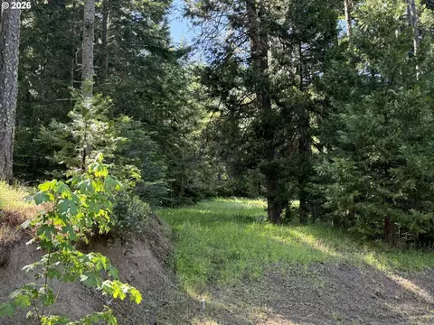Other - 440 Forest Dr, Azalea, OR 97410 photo 10 of 17