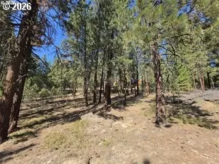 Dewey, Sumpter, OR 97877 photo 3