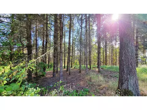 86820 Northill Ranch Rd, Eugene, OR 97402 photo 3