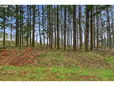 NW Pumpkin Ridge Rd, North Plains, OR 97133