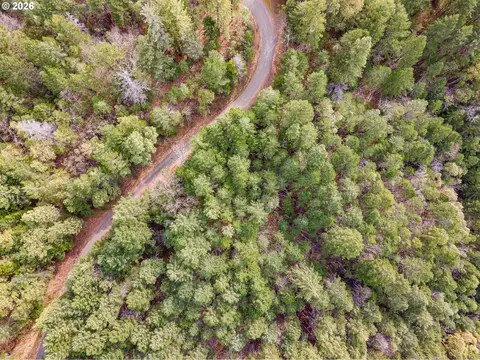 Pleasant Cr Rd, Rogue River, OR 97537 photo 11