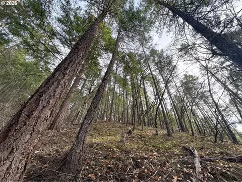 Pleasant Cr Rd, Rogue River, OR 97537 photo 25