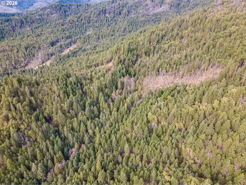 Pleasant Cr Rd, Rogue River, OR 97537 photo 7