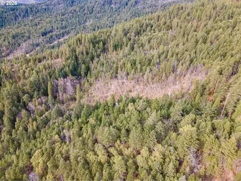 Pleasant Cr Rd, Rogue River, OR 97537 photo 6