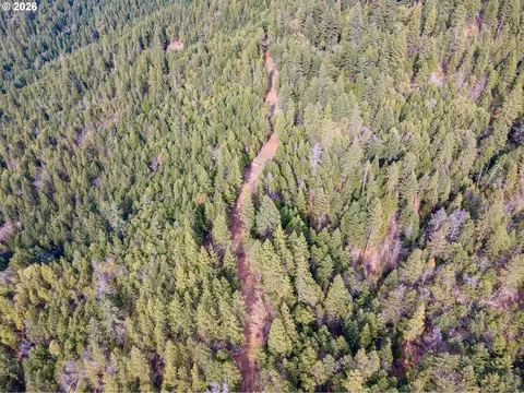 Pleasant Cr Rd, Rogue River, OR 97537 photo 17