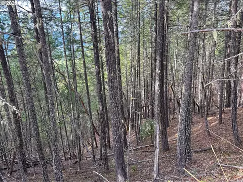 Pleasant Cr Rd, Rogue River, OR 97537 photo 37