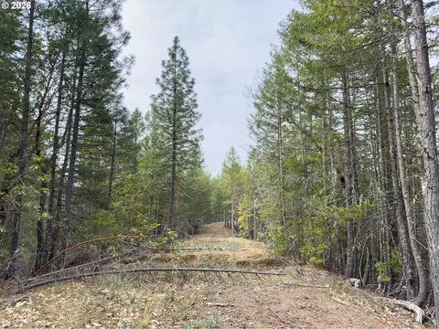 Pleasant Cr Rd, Rogue River, OR 97537 photo 40