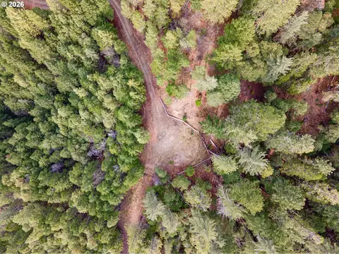 Pleasant Cr Rd, Rogue River, OR 97537 photo 19