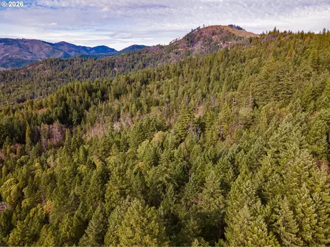 Pleasant Cr Rd, Rogue River, OR 97537 photo 13