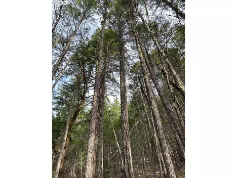 Pleasant Cr Rd, Rogue River, OR 97537 photo 33