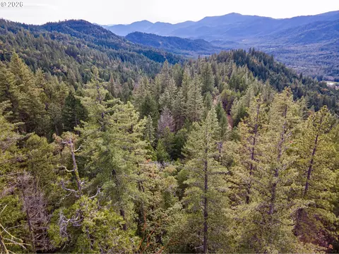 Pleasant Cr Rd, Rogue River, OR 97537 photo 23