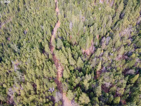 Pleasant Cr Rd, Rogue River, OR 97537 photo 16
