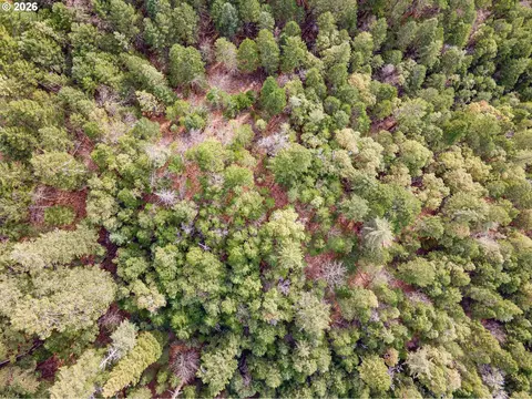 Pleasant Cr Rd, Rogue River, OR 97537 photo 10