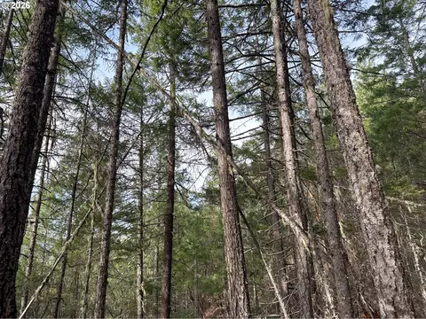 Pleasant Cr Rd, Rogue River, OR 97537 photo 31