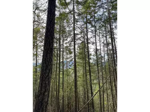 Pleasant Cr Rd, Rogue River, OR 97537 photo 35