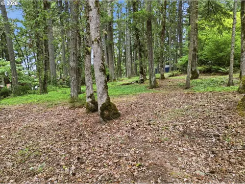 4700 Old Dillard Rd, Eugene, OR 97405 photo 7