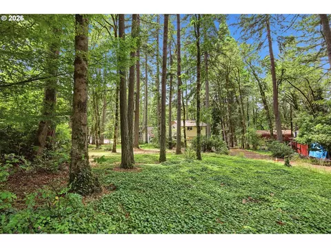 4700 Old Dillard Rd, Eugene, OR 97405 photo 5