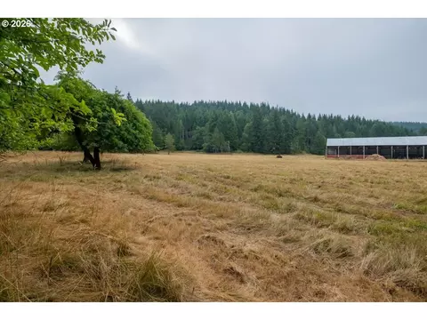 Other - 36435 Devitt Rd, Blodgett, OR 97326 photo 16 of 21