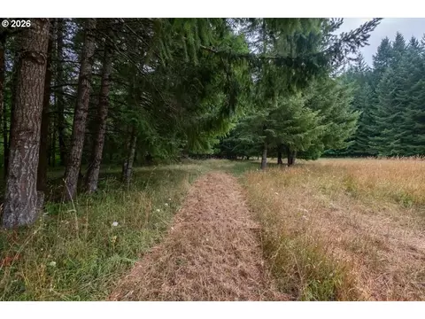 Other - 36435 Devitt Rd, Blodgett, OR 97326 photo 20 of 21