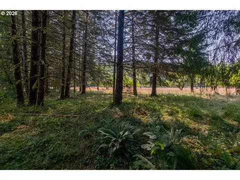 Other - 36435 Devitt Rd, Blodgett, OR 97326 photo 21 of 21