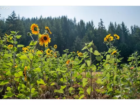Other - 36435 Devitt Rd, Blodgett, OR 97326 photo 6 of 21