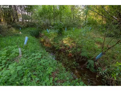 Other - 36435 Devitt Rd, Blodgett, OR 97326 photo 18 of 21