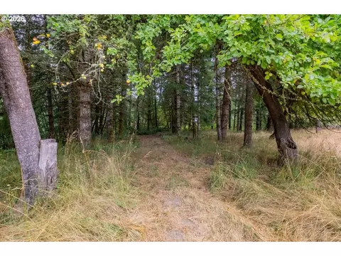 Exterior - 36435 Devitt Rd, Blodgett, OR 97326 photo 10 of 10