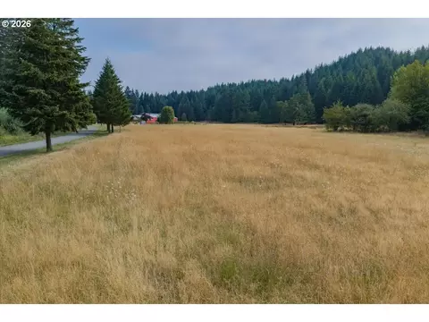 Other - 36435 Devitt Rd, Blodgett, OR 97326 photo 17 of 21