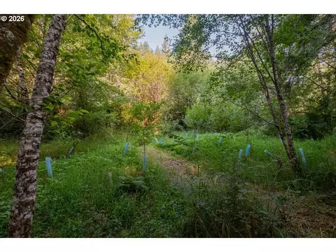 Other - 36435 Devitt Rd, Blodgett, OR 97326 photo 19 of 21