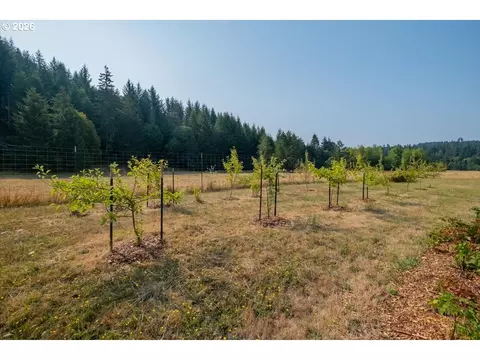 Exterior - 36435 Devitt Rd, Blodgett, OR 97326 photo 6 of 10