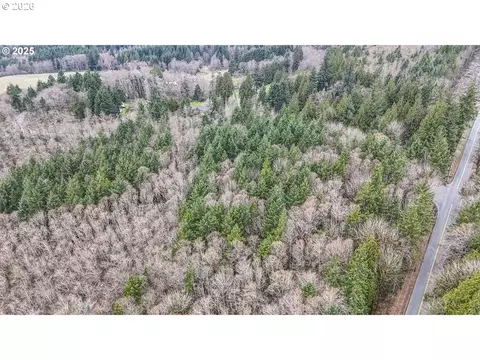 Neer City Rd, Rainier, OR 97048 photo 6