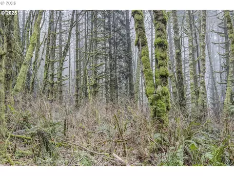 Neer City Rd, Rainier, OR 97048 photo 4