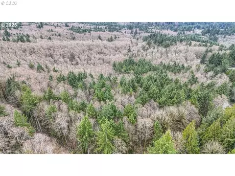 Neer City Rd, Rainier, OR 97048 photo 5