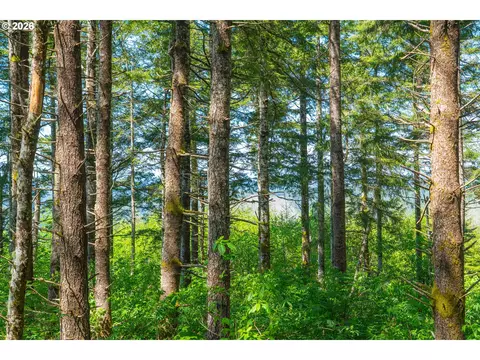 0 Hayes Cr Rd, Eddyville, OR 97343