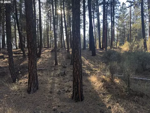 32555 Magpie Rd #6, Chiloquin, OR 97624