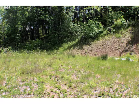 1482 Canyonville Riddle Rd, Riddle, OR 97469