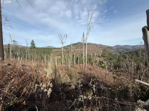 cascade view, Vida, OR 97488