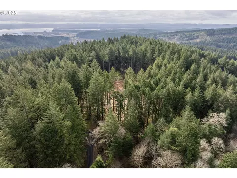 0 Friday Ln, Junction City, OR 97448