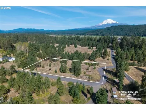 9 Pahtoe View Ln, Trout Lake, WA 98650