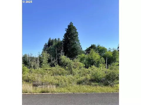 000 Basie Rd, Castle Rock, WA 98611