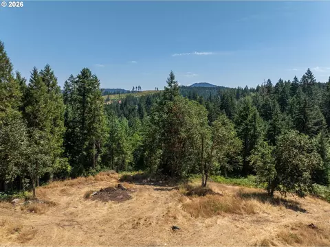 85241 Jessie Ln, Eugene, OR 97405 photo 10
