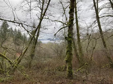 NE 197th Ct, Amboy, WA 98601