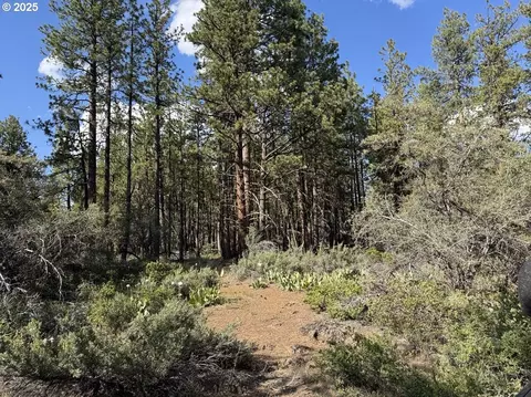 thunder bear road, Bonanza, OR 97623