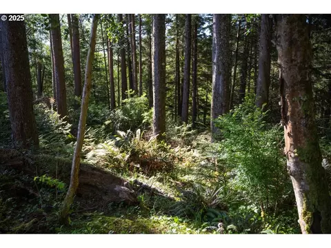 0 Eagle St, Ilwaco, WA 98624