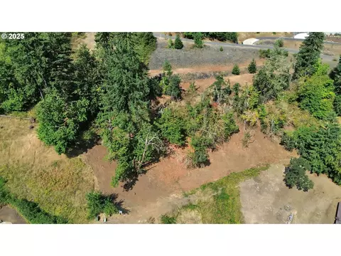 Forest Ridge, Springfield, OR 97478 photo 21