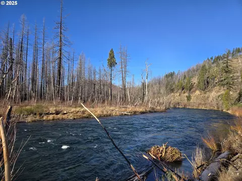 53732 Gamby Lane, Blue River, OR 97413