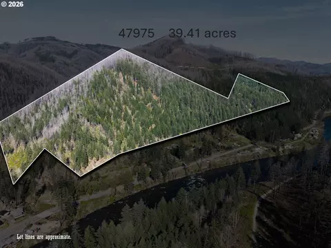 47975 87 Mckenzie Hwy, Vida, OR 97488