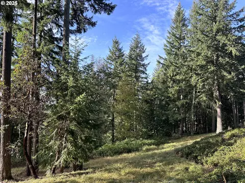 Douglas Dr, Eugene, OR 97405 photo 6