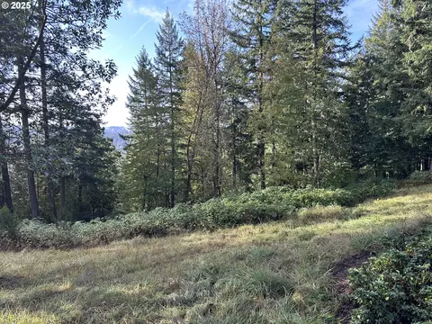 Douglas Dr, Eugene, OR 97405 photo 5