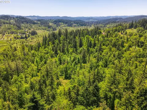 Douglas Dr, Eugene, OR 97405 photo 13